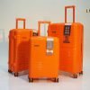 Valise  Fly Together