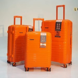 Valise  Fly Together