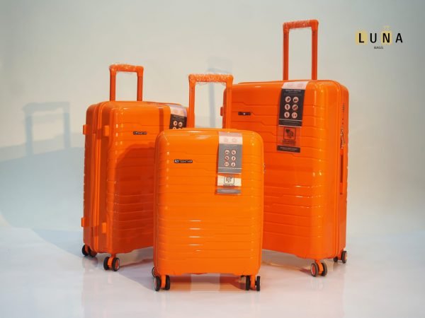 Valise  Fly Together
