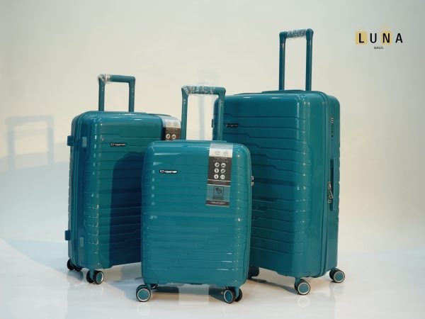 Valise  Fly Together