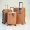 Valise  Fly Together