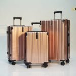 Valise Fly Together Glassy