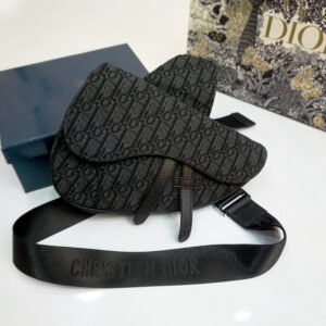 DIOR Saddle Bag